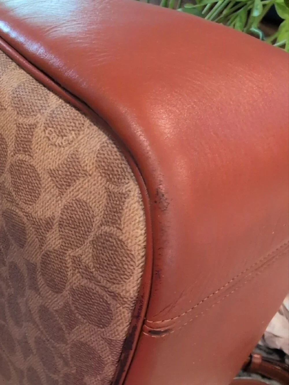 Coach Cary Signature Canvas And Leather Hobo Bag